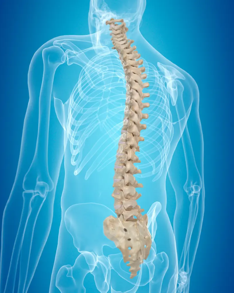 18 - O'Brien Family Chiropractic